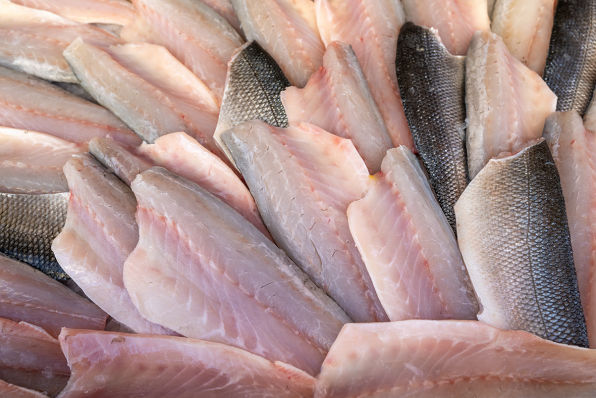 Sea Bass