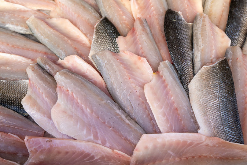 Sea Bass