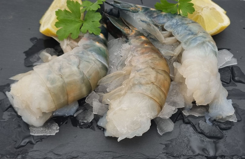 Freshwater Prawns