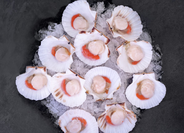 Peninsula Seafoods Scallops