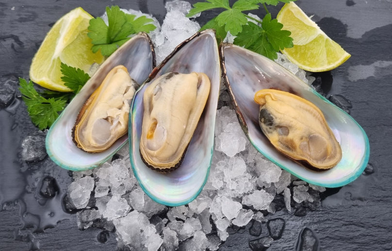 Mussels