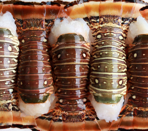 Lobster Tails