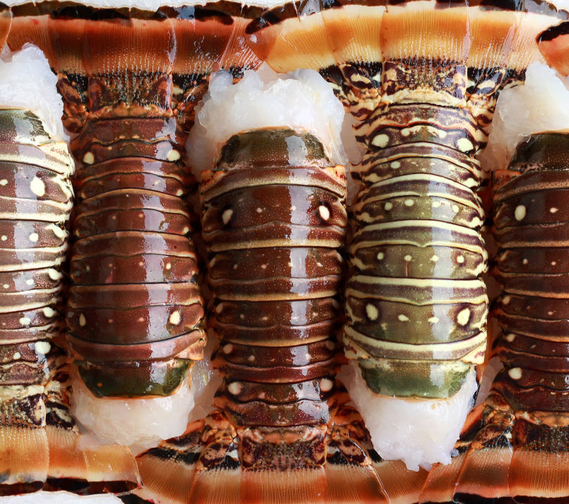 Lobster Tails
