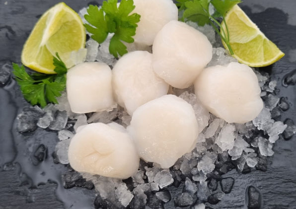 Roeless Scallops