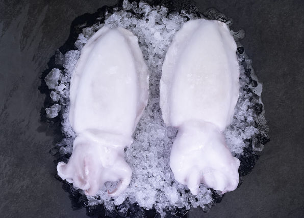 Peninsula Seafoods Cuttlefish