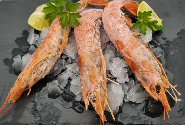 Peninsula Seafoods red shrimp