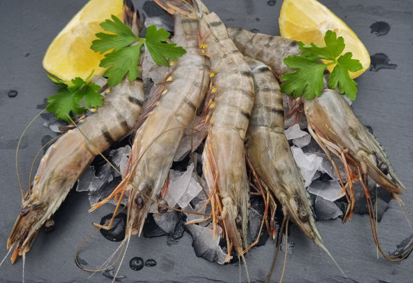 Peninsula Seafoods black tiger prawns