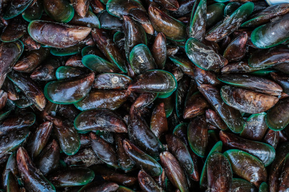 Peninsula Seafoods mussels