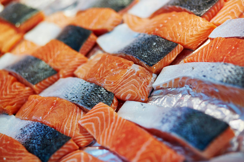 Salmon