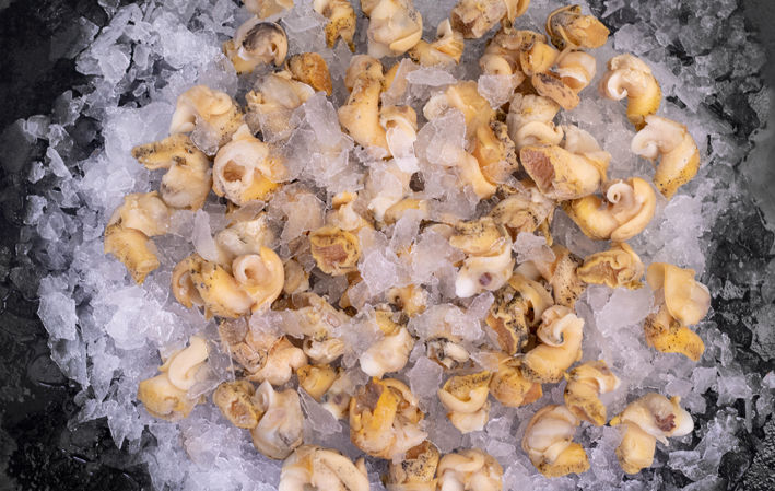 Whelks